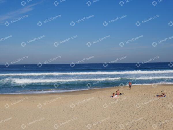 Beach landscape